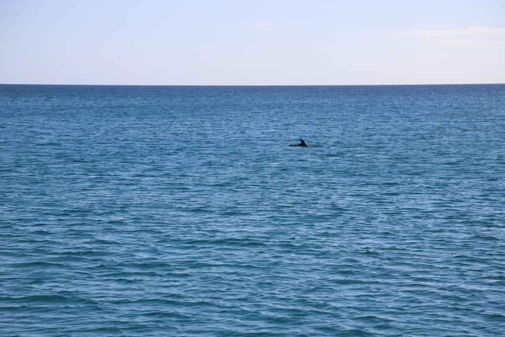 Ocean Flat Apartman Cagliari Kültér fotó